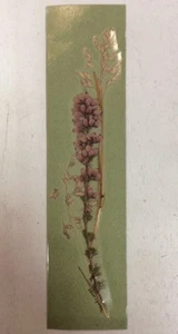 Lesezeichen 8" x 2" getrocknete Kentish Blumen arrangiert von Jean Lynn Green Vintage - Bild 1 von 12