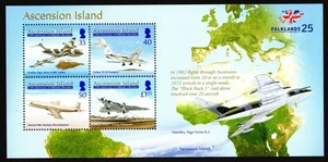 ASCENSION ISLAND  2007  25TH ANNIVERSARY OF FALKLANDS LIBERATION  MINISHEET  MNH - Picture 1 of 1