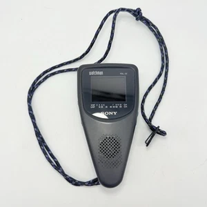 Vintage 1994 Sony Watchman FDL-22 grigio antracite LCD a colori TV TESTATO - molto PULITO - Foto 1 di 1