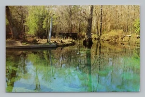 Postkarte Jungbrunnen Ponce DeLeon Florida - Bild 1 von 2