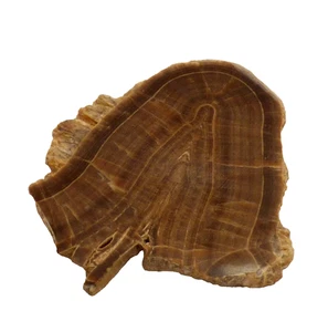 Derbyshire Oakstone Barite Baryte UK Mineral Specimen 57mm 25g Semi Polished - Picture 1 of 10