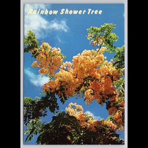 Árbol de ducha arco iris postal vintage Honolulu Hawaii sin publicar escénico coleccionable - Imagen 1 de 4