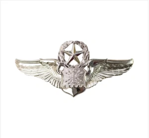 GENUINE U.S. AIR FORCE BADGE: NAVIGATOR: MASTER - REGULATION SIZE - Picture 1 of 1