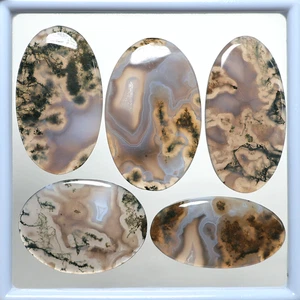 Set 5 Pcs Natural Moss Agate Hi-Quality Collectible Mineral Crystal Palmstones - Picture 1 of 12