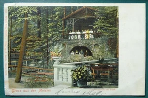AK Gruss aus der Meierei (sendet Max); Grottenpartei im Park; Lössnitzgrund,1902 - Bild 1 von 2