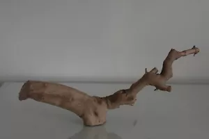Vivarium, Exo Terra Ramo di Foresta Piccolo Circa 32 x 13 x 5 cm C Albero di Rettili - Foto 1 di 3