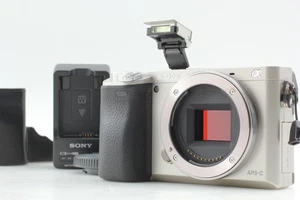 English OK [Near MINT]  Sony a6000 ILCE-6000 24.3MP Digital Camera Silver JAPAN - Picture 1 of 19