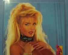 1995 Carnal Comics Taylor Wane Card #19