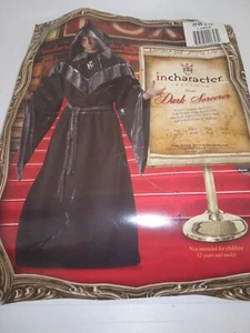 Adult Unisex Dark Mystic Sorcerer Robe Hooded Size Large InCharacter - Picture 1 of 5