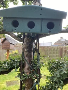 bird House - Picture 1 of 9
