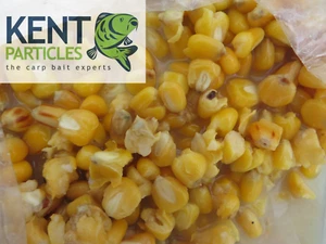 Cooked Maize in Bags FREE P&P - Kentparticles Carp Fishing Bait - Picture 1 of 1
