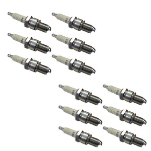 NGK Standard Series Spark Plug BR6EF (12 Pack) - Picture 1 of 1