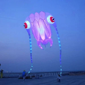 10 qm Einleiner Trilobit Drachenleine Wäscheanhänger weich aufblasbar Showkite - Bild 1 von 3