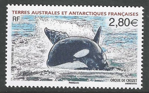 FSAT French Southern # 428 postfrisch PO frisch & makellos! ('25 SCV 7,75 $) - Bild 1 von 1