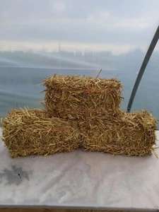 Mini straw bale - Picture 1 of 7
