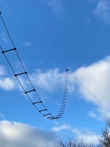 40 Stück Spreizer für KW Paralleldrahtleitung Hühnerleiter - Zdjęcie 1 z 6