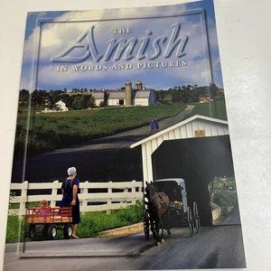 The Amish in Words and Pictures Lucy Hanley - Imagen 1 de 13