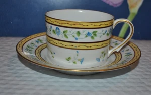 VTG Ceralene LIMOGES France Morning Glory Spray Cup & Saucer Set GOLD TRIM - Picture 1 of 5