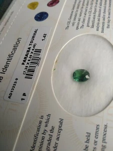 1.42 CT Turmalina Natural Paraiba Verde sin Tratar Certificado GIL incluid(Video - Imagen 1 de 12