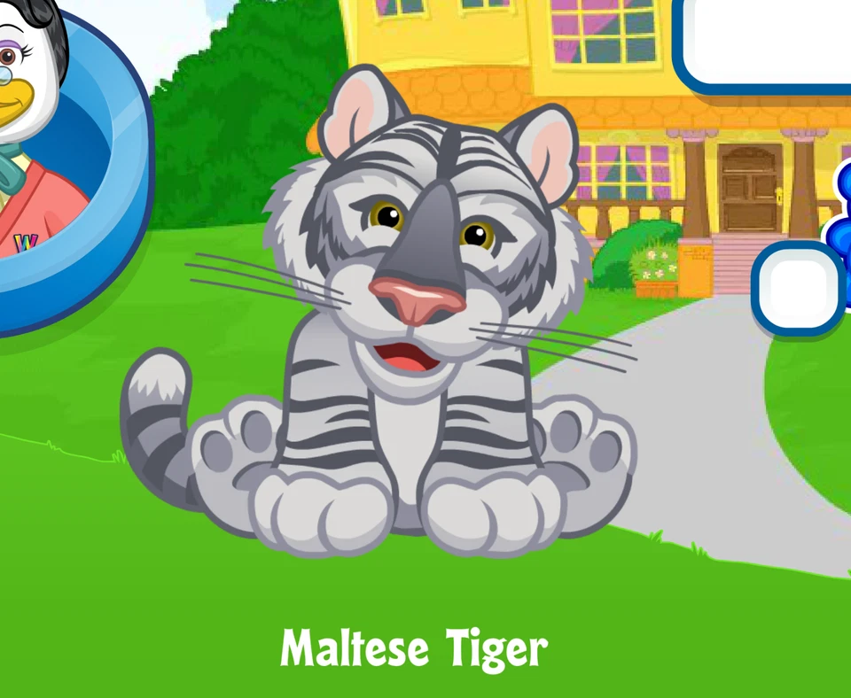 Webkinz Maltese Tiger Virtual Adoption Code Only Messaged Webkinz Maltese Tiger! - Image 1 of 1