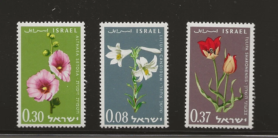 以色列斯科特 #238-40,单曲 1963 整套 FVF 全新无标签 — 第 1/1 张图片