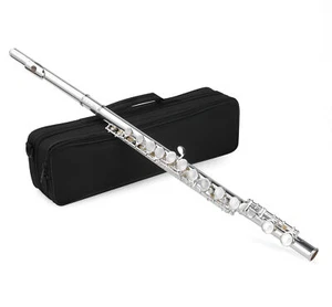 Axiom 16 Hole Flute Closed Hole - Ideal first time flute - Picture 1 of 6