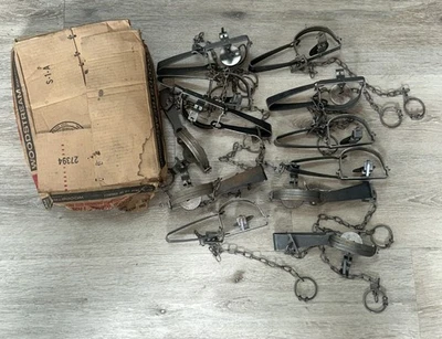 12 Vintage Victor Steel Game woodstream No 1 Long Spring Traps Newhouse Open Box - Image 1 of 3