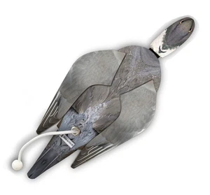 Perro y Campo Madera Pidgeon Pájaro Muerto Maniquí Perro Caza Exterior Envío y Envío Gratis L 1251 - Imagen 1 de 1