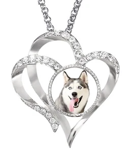 Husky Hund Haustier Silber Farbe Halskette und Diamant Anhänger + Geschenkbox - Bild 1 von 4