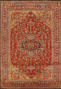 Classic Luxury Hand-Knotted Heriz Serapi Indian Area Rug for Living Room 9x12 ft