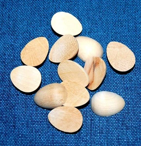 12 unfertige Holz Miniatur geteilte halbe Eier 7/8 Zoll x 5/8 Zoll USA Verkäufer! Schneller Versand - Bild 1 von 4