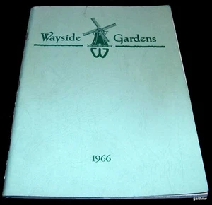 PIANTE DURE 1966 CATALOGO I GIARDINI LUNGO LA STRADA MENTORE OHIO * ROSE ARBUSTI BULBI - Foto 1 di 2