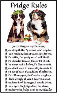 More details for bernese mountain dog gift - large fridge rules flexible magnet 6&quot; x 4&quot; 
