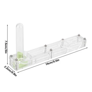 Acrylic Ant Breeding House Formicarium Display Box With Water Tower Moi ZOK - Picture 1 of 11