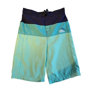 Tommy Bahama Board Shorts Boys LG Swim Trunks Mesh Liner Teals Navy Stripe Beach - Picture 1 of 10