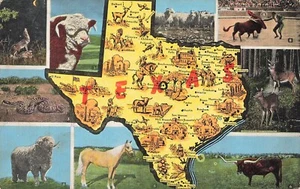 Texas Postkarte Grußkarte Mehrfachansicht ca. 50er Jahre O3 - Bild 1 von 2