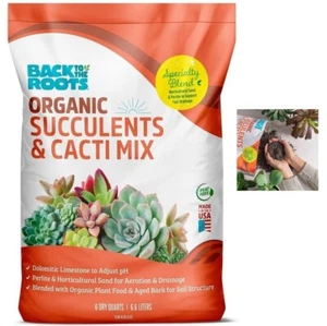 Back to the Roots Organic Succulents Mix Cactus Planting Soil Indoor Plants 6 qt - Picture 1 of 13