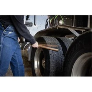Marshalltown: Gator Defense - Reifenklopfer - Bild 1 von 5