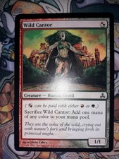 MTG - Wild cantor - Guildpact - NM