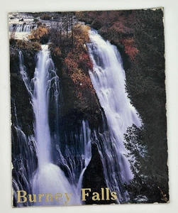 Vintage Burney Falls Refrigerator Souvenir Magnet - Picture 1 of 2