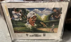 CARLOS FRANCO Professionally Framed Autographed Art Limited Edition PGA GOLFER - Picture 1 of 3