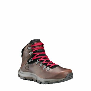 Las mejores ofertas en Ropa de Trabajo acolchada sólido para hombres  Timberland | eBay