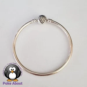 Pandora Heart of Winter Bangle You Melt my Heart Snowflake 17cm Silver - Picture 1 of 6