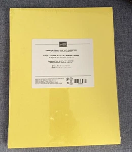 Stampin Up ANANAS STANZER Karton 8,5 x 11 - gelb nicht mehr produziert, 24 Blatt - Bild 1 von 1