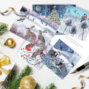 RSPB Nature Conservation Festive Art Selection Pack of 5 Charity Christmas Cards - Picture 1 of 6