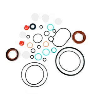 F00N601501 Diesel Fuel Pump Repair Kit For CR/CP1S3 Series Pump With Oil Seal - Picture 1 of 10