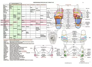 Reflexzonenmassage-Fußkarte - praktisch Größe A4 laminiert - hergestellt von einem britischen Reflexologen - Bild 1 von 2