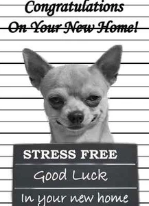 Chihuahua PIDCHI2 A5 Personalised Congratulations your new home Greeting Card - Picture 1 of 1