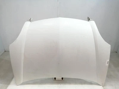 7751474868 Capo para RENAULT KANGOO I (F/KC0) Alize 2007 1051211 - Imagen 1 de 4