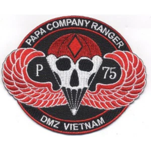 Papa Company Rangers Regiment Patch DMZ Vietnam - Bild 1 von 6